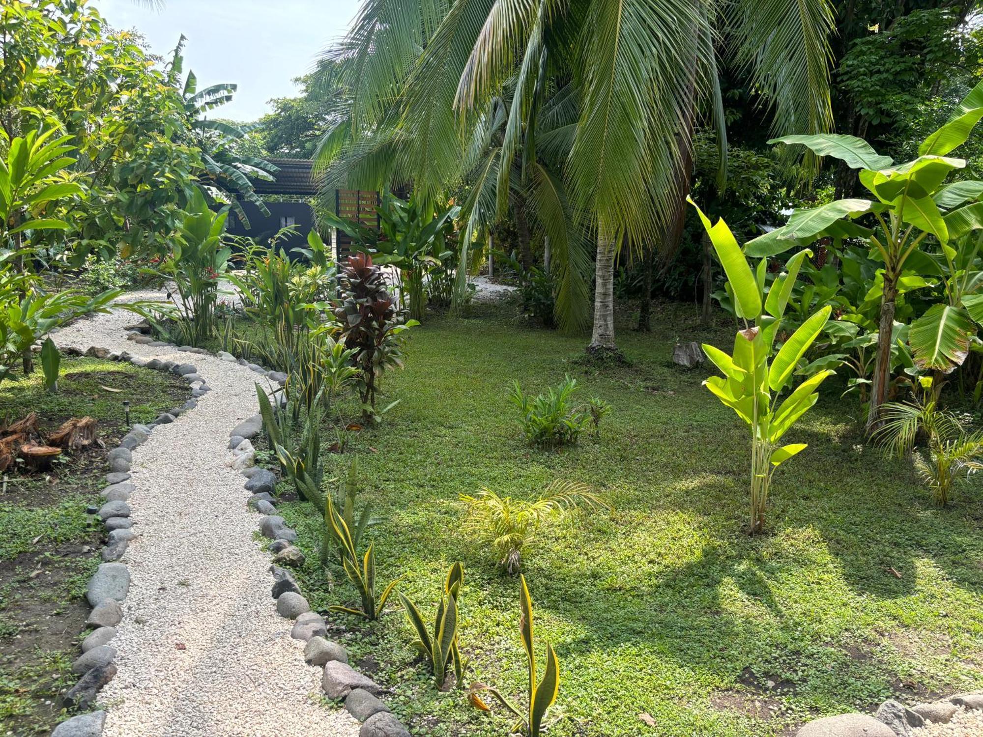 Ds House Hotel Cabuya  Exterior photo